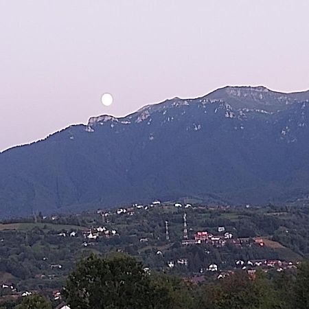 Pensiunea Bella Predelut Bran  Buitenkant foto