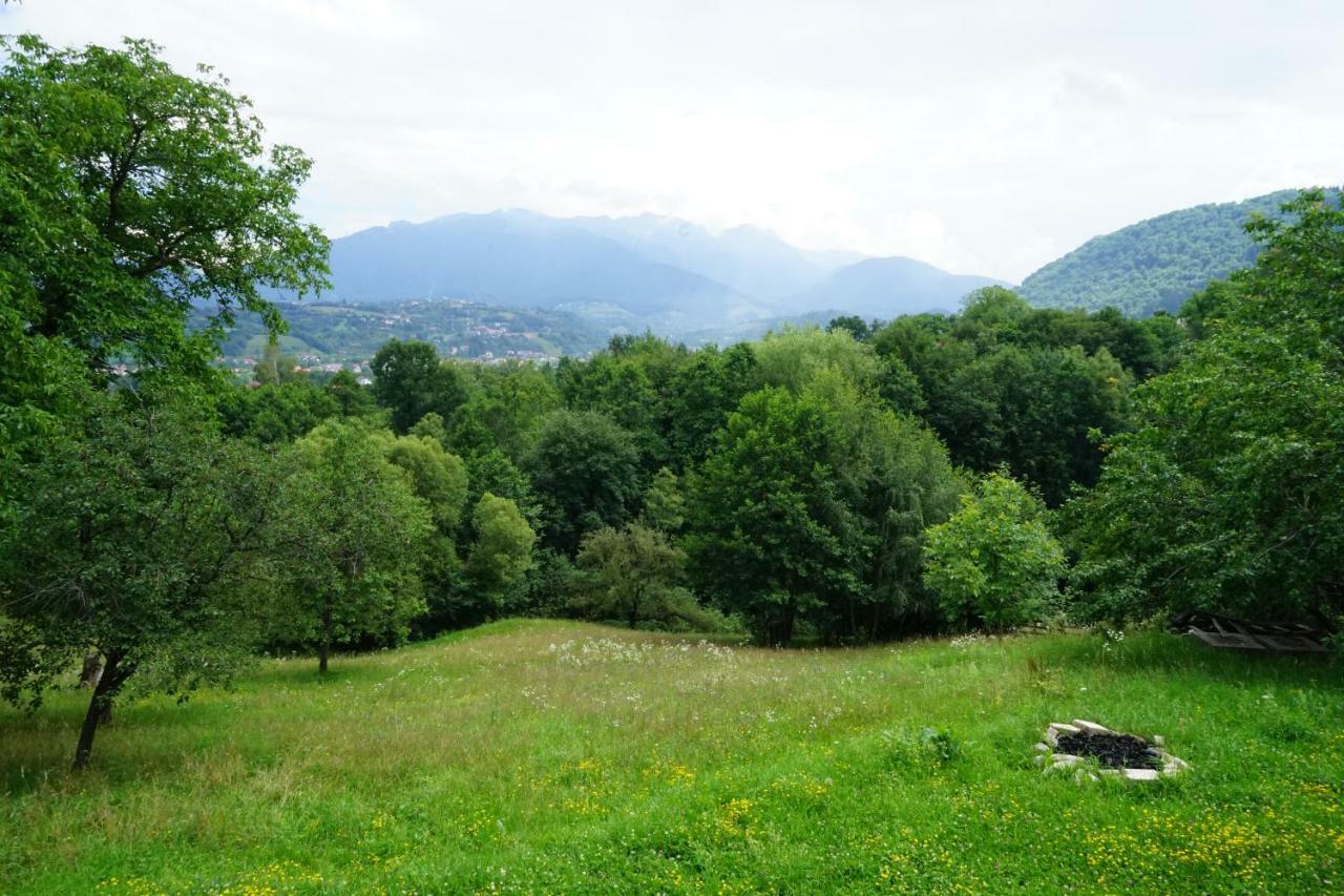 Pensiunea Bella Predelut Bran  Buitenkant foto