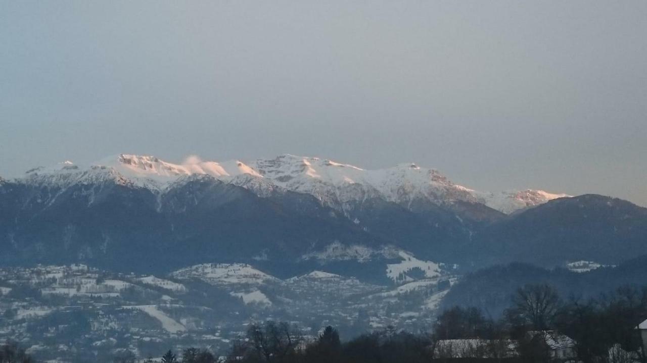 Pensiunea Bella Predelut Bran  Buitenkant foto