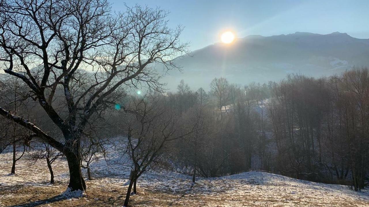 Pensiunea Bella Predelut Bran  Buitenkant foto